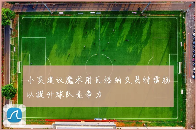 小莫建议魔术用瓦格纳交易特雷杨以提升球队竞争力